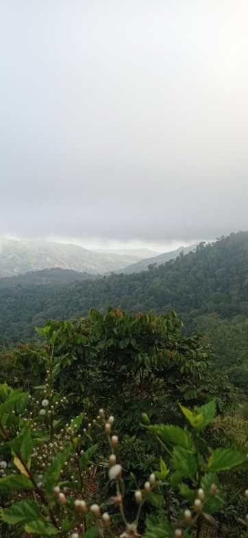 Development opportunity in between Uvita and Perez Zeledon