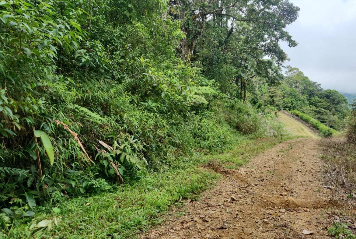 Development opportunity in between Uvita and Perez Zeledon
