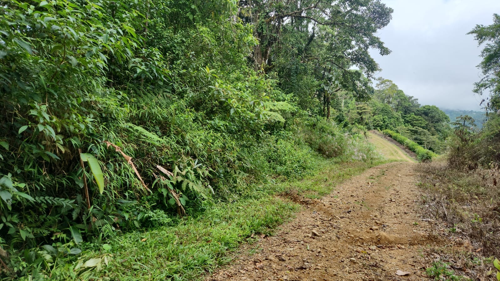 Development opportunity in between Uvita and Perez Zeledon Development opportunity in between Uvita and Perez Zeledon