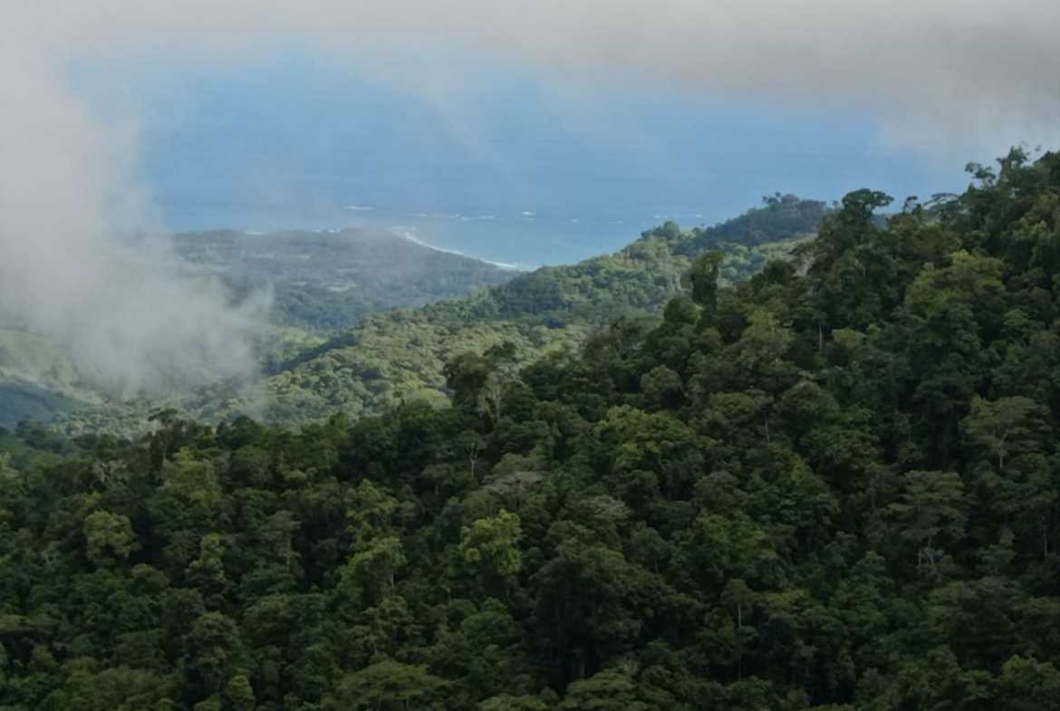 Development opportunity in between Uvita and Perez Zeledon