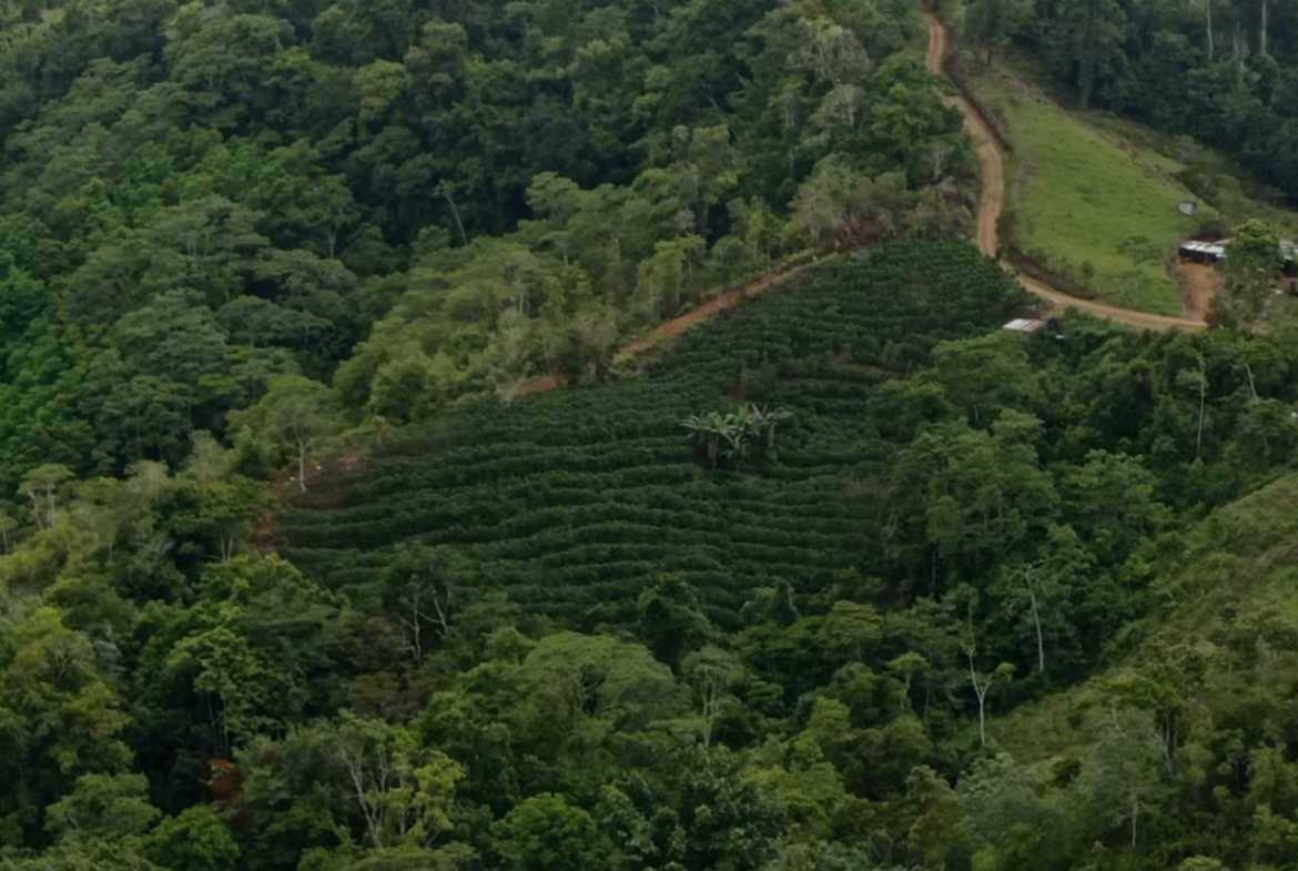 Development opportunity in between Uvita and Perez Zeledon
