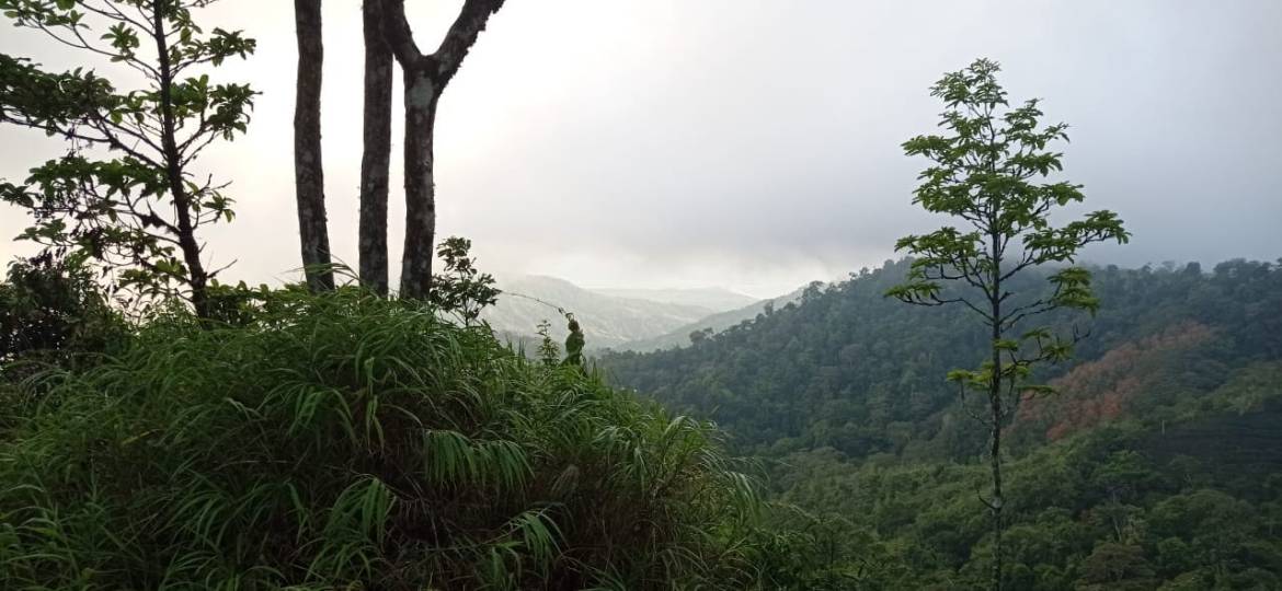 Development opportunity in between Uvita and Perez Zeledon