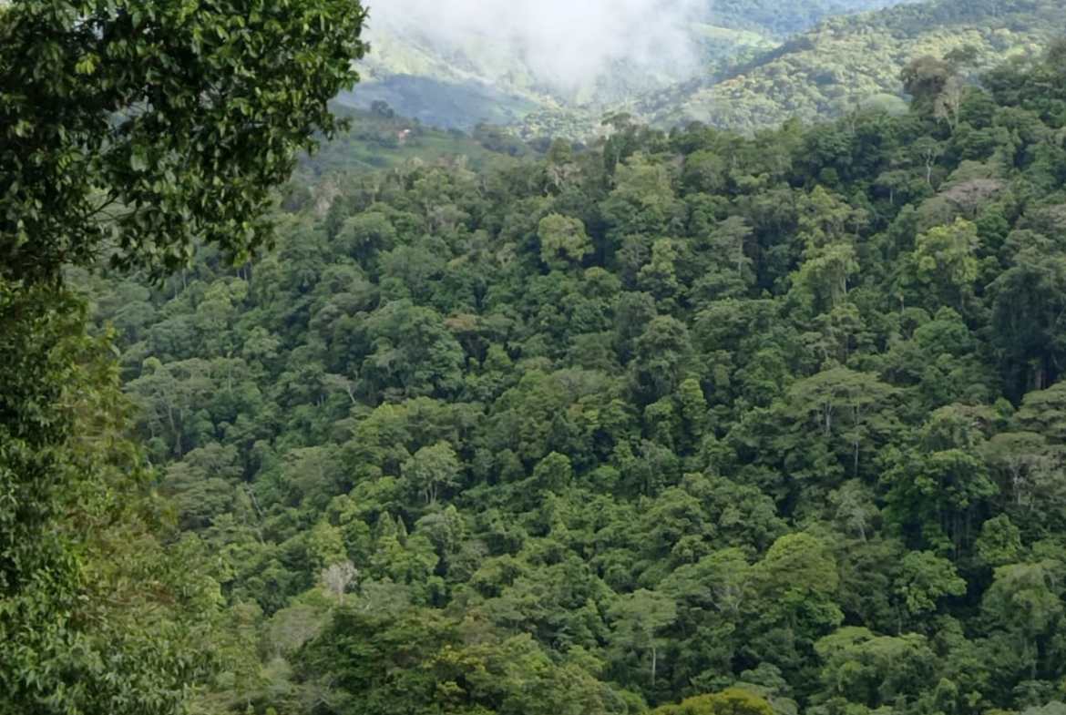 Development opportunity in between Uvita and Perez Zeledon