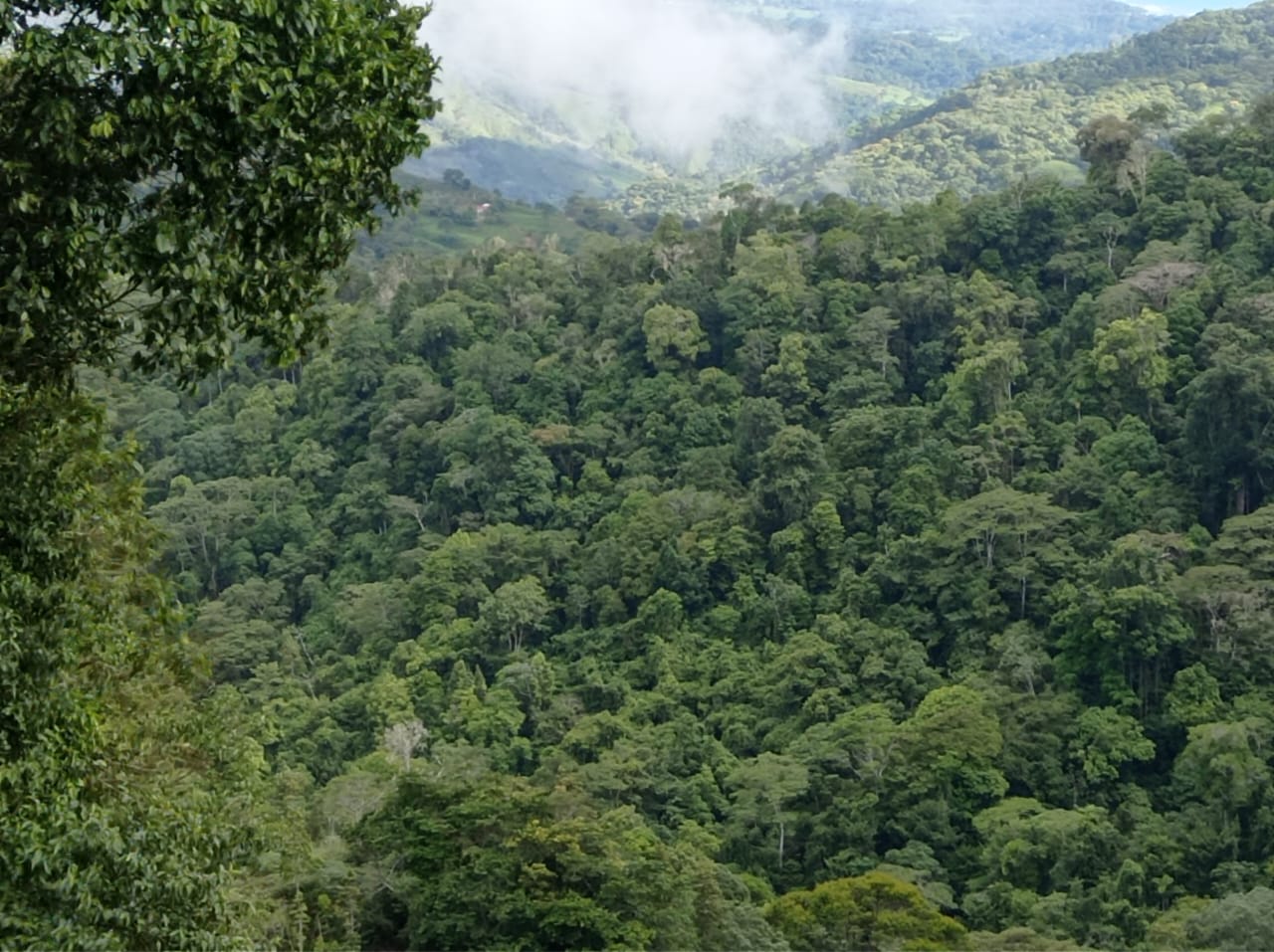 Development opportunity in between Uvita and Perez Zeledon Development opportunity in between Uvita and Perez Zeledon