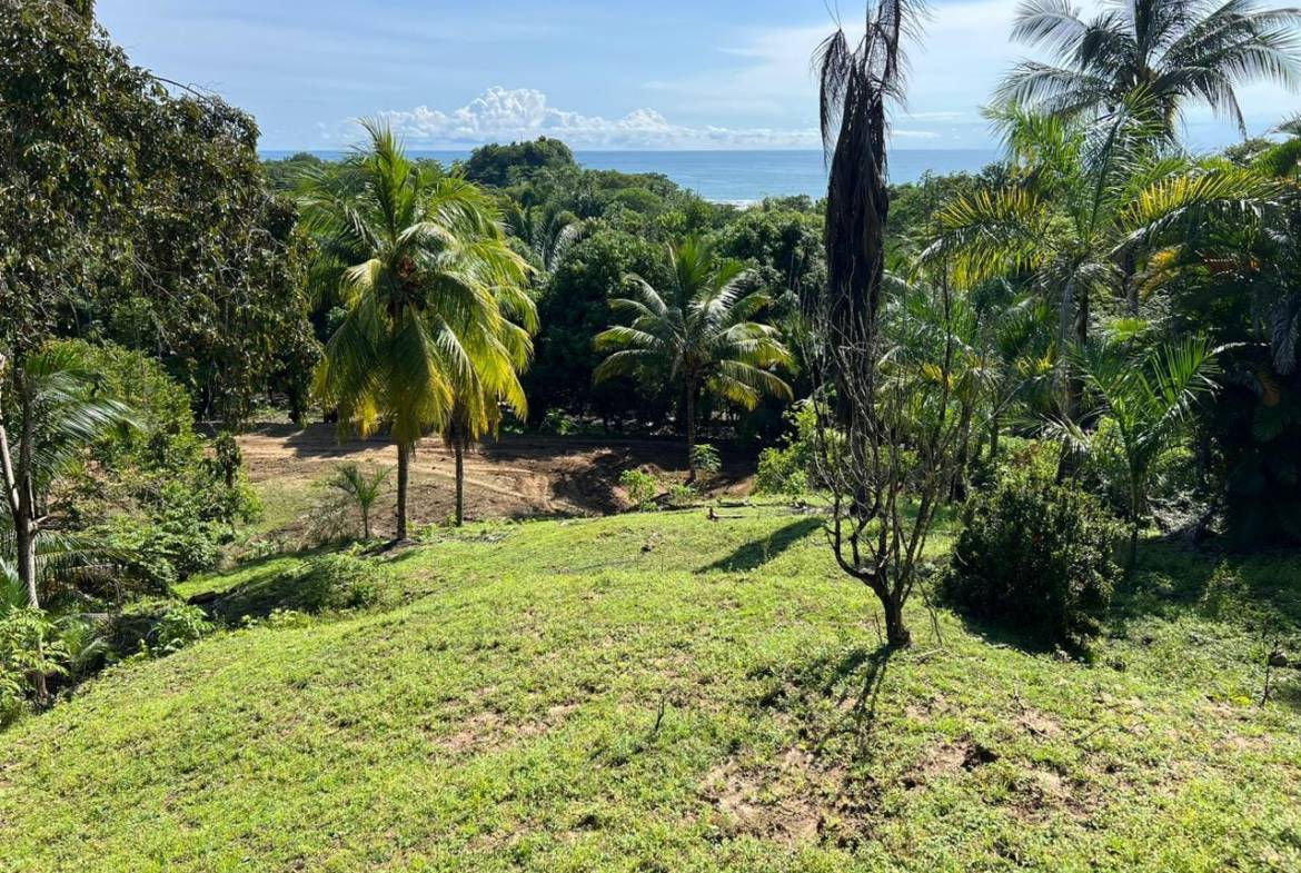 Oceanview lot in Malpais