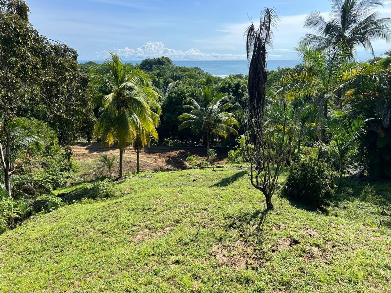 Oceanview lot in Malpais