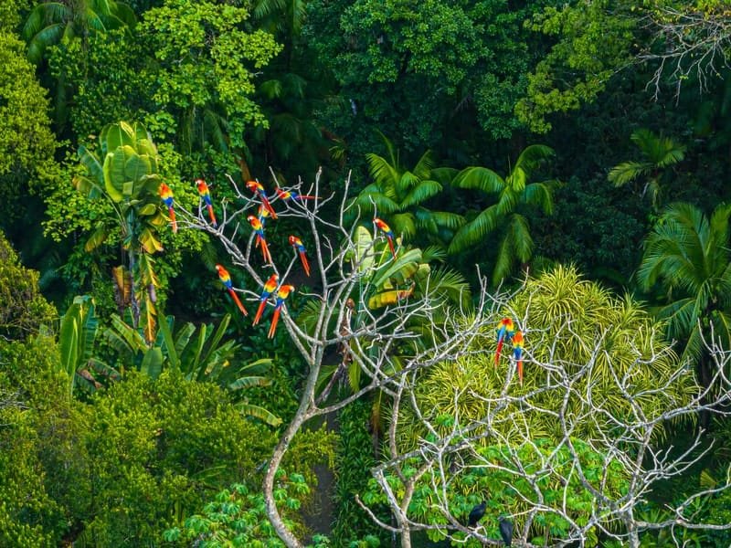 Private 680-Acre Eco Estate in Golfo Dulce 