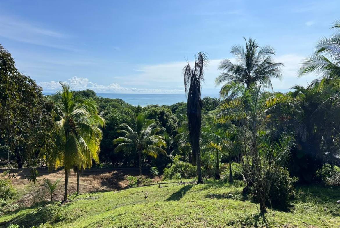 Oceanview lot in Malpais