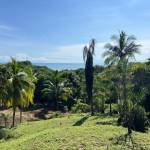 Oceanview lot in Malpais