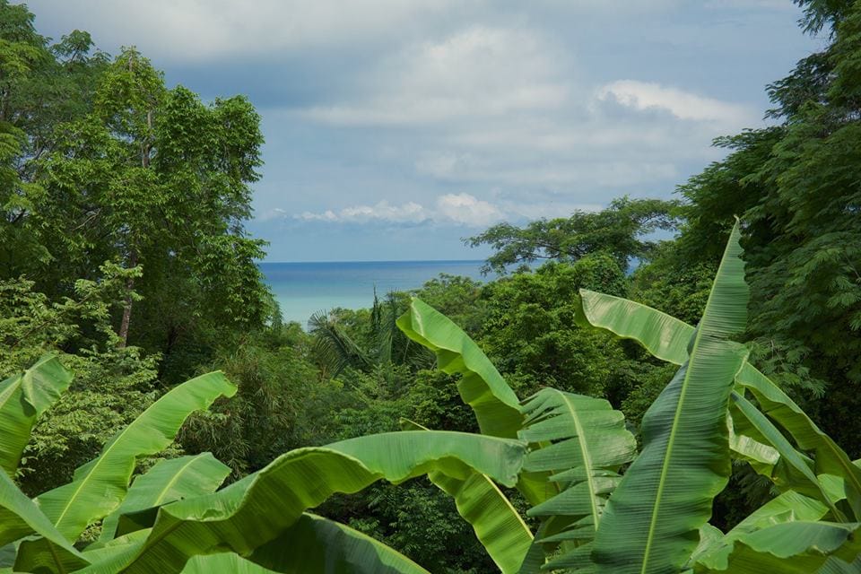 Income producing property in Malpais