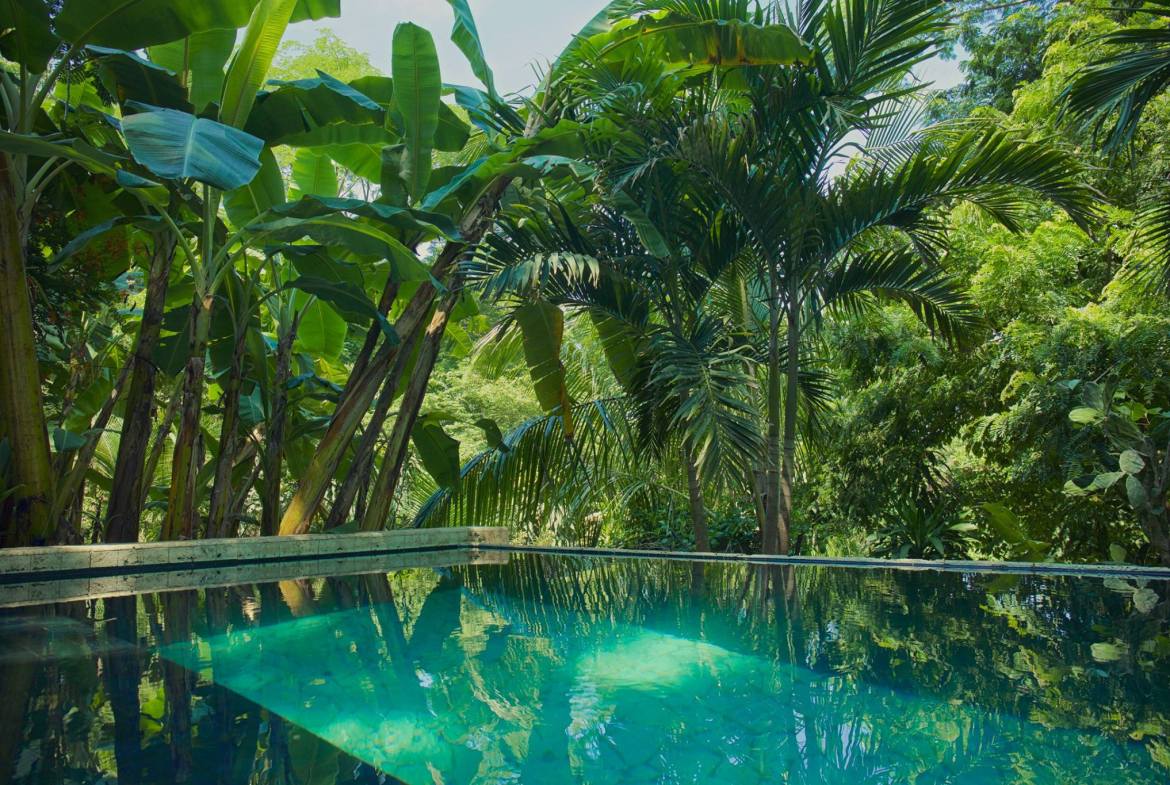 Income producing property in Malpais