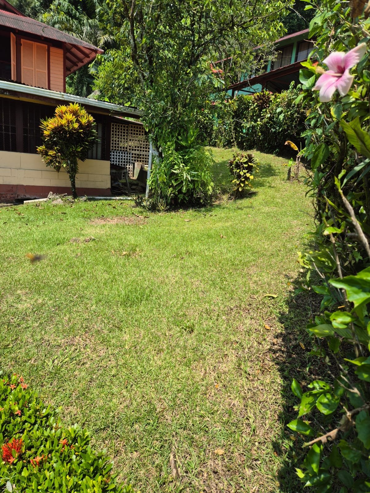 Charming Historic Home in Central Golfito