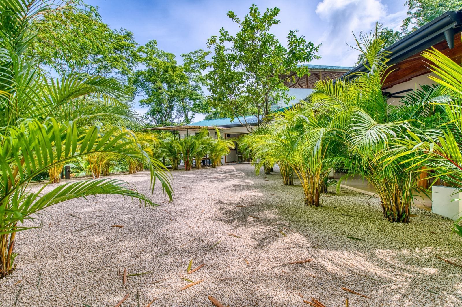 Turn-Key Boutique Hotel for Sale in Malpais