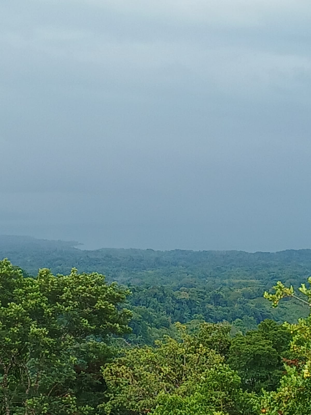 Off-Grid Jungle Paradise with Ocean Views in Puerto Jimenez