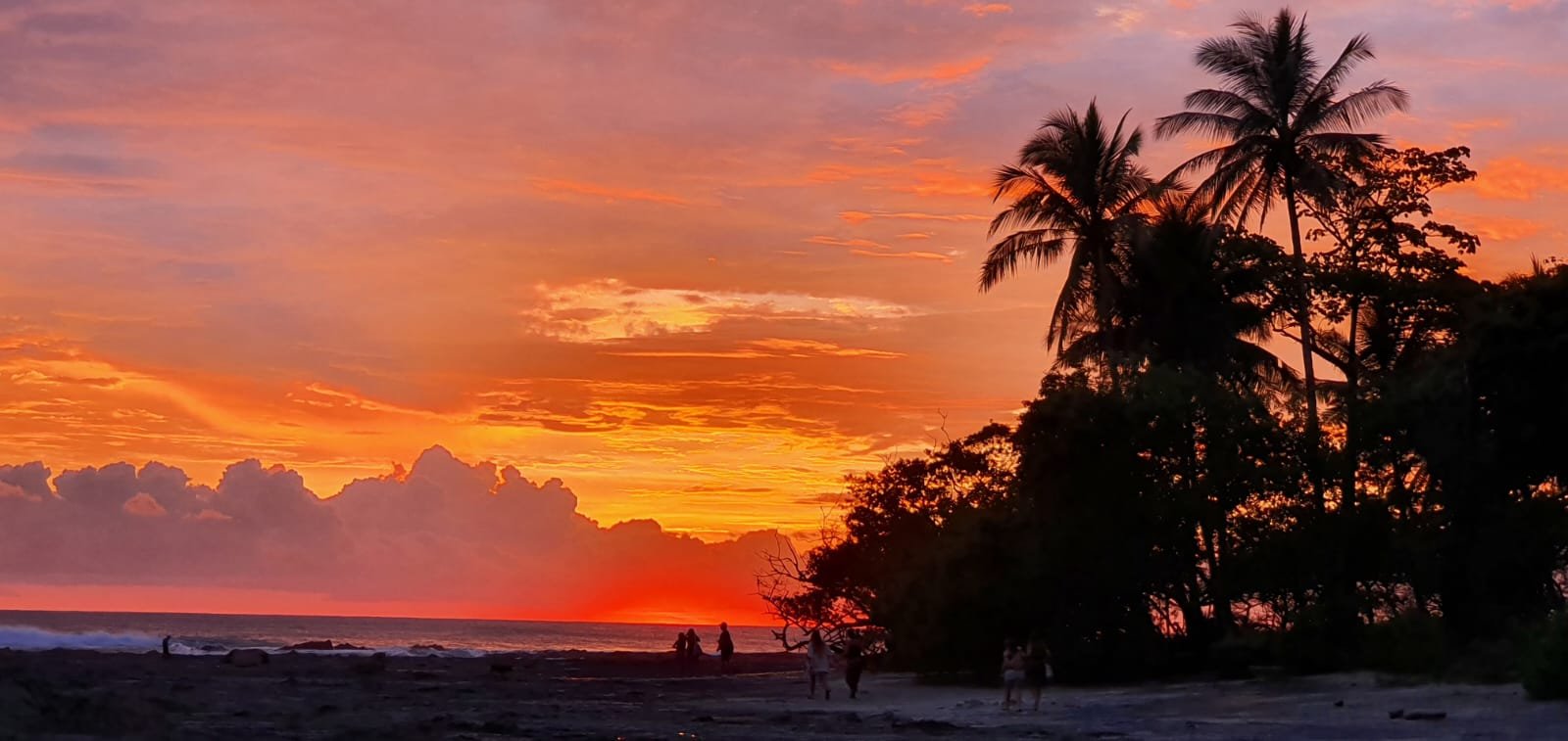 Income producing property in Malpais