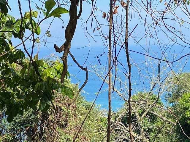 Private Oceanview Lot in Montezuma