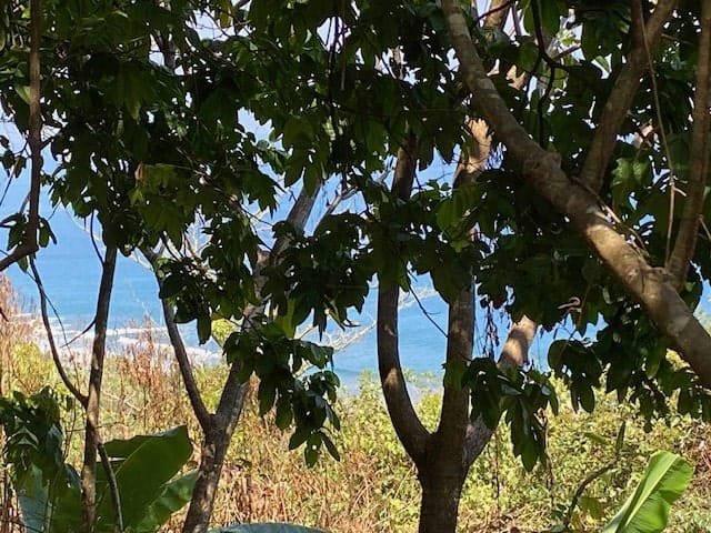 Private Oceanview Lot in Montezuma