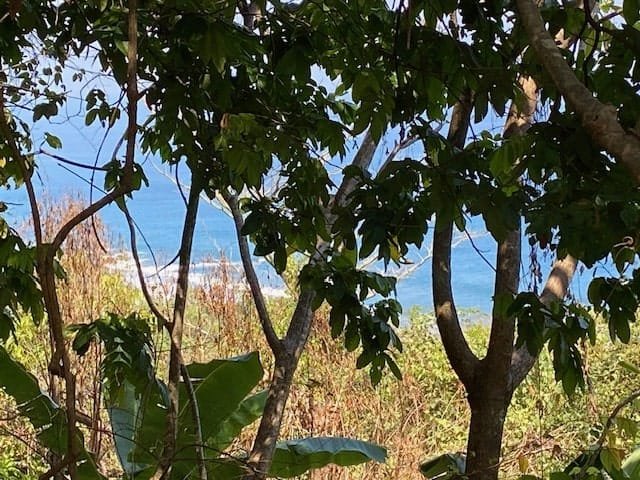 Private Oceanview Lot in Montezuma