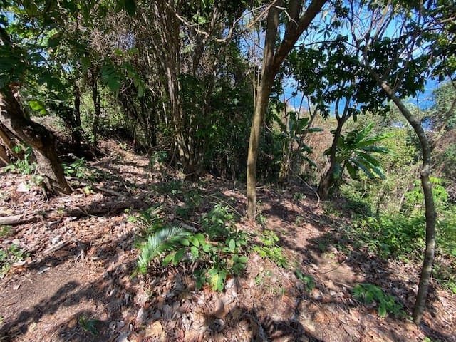 Private Oceanview Lot in Montezuma