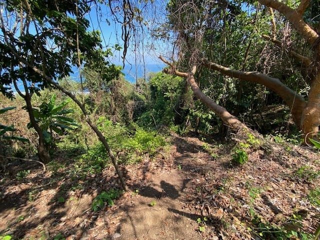 Private Oceanview Lot in Montezuma