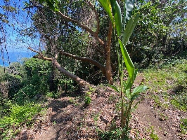 Private Oceanview Lot in Montezuma