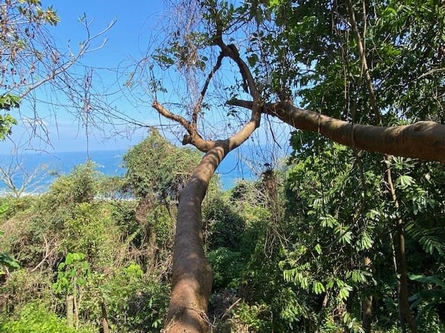 Private Oceanview Lot in Montezuma