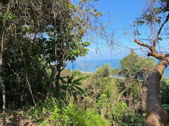 Private Oceanview Lot in Montezuma