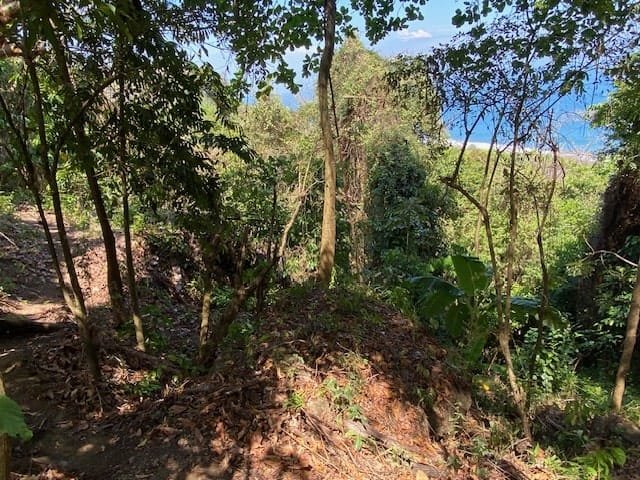 Private Oceanview Lot in Montezuma