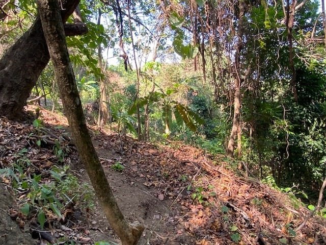 Private Oceanview Lot in Montezuma