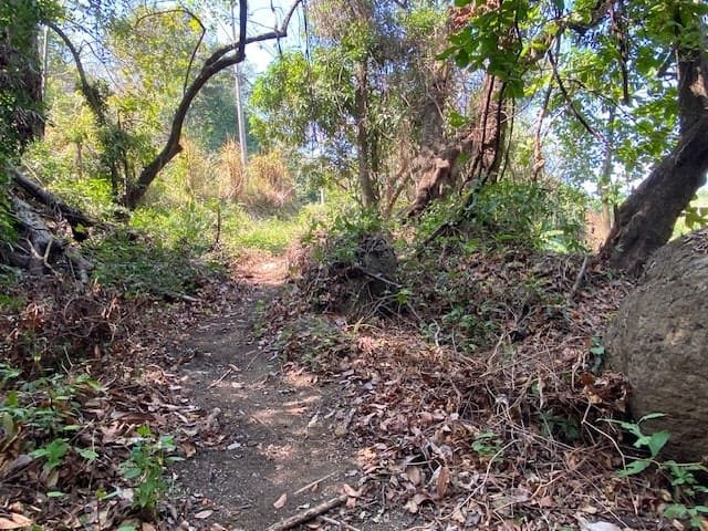 Private Oceanview Lot in Montezuma