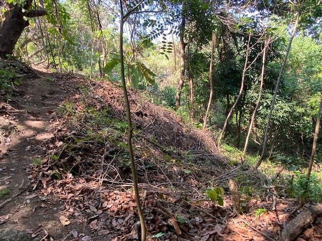 Private Oceanview Lot in Montezuma