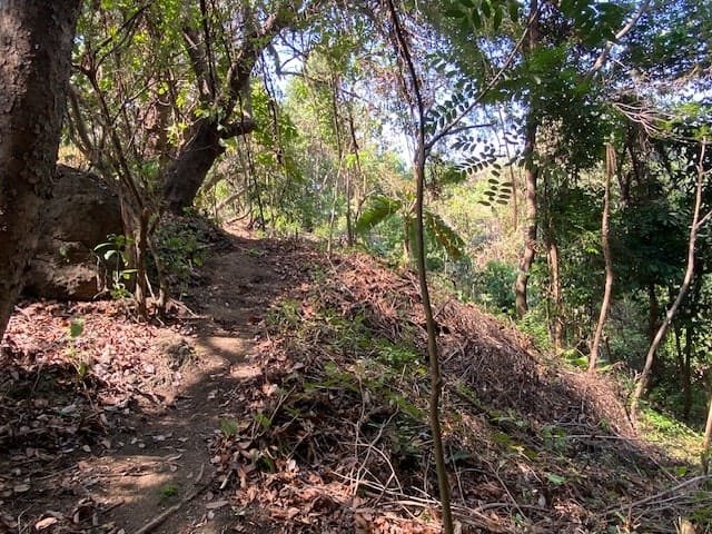 Private Oceanview Lot in Montezuma