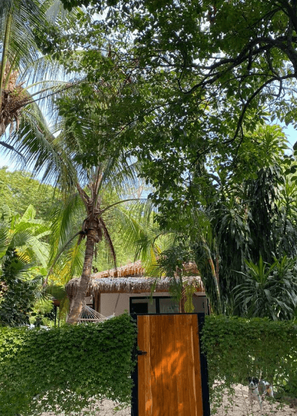 Income producing property in Malpais