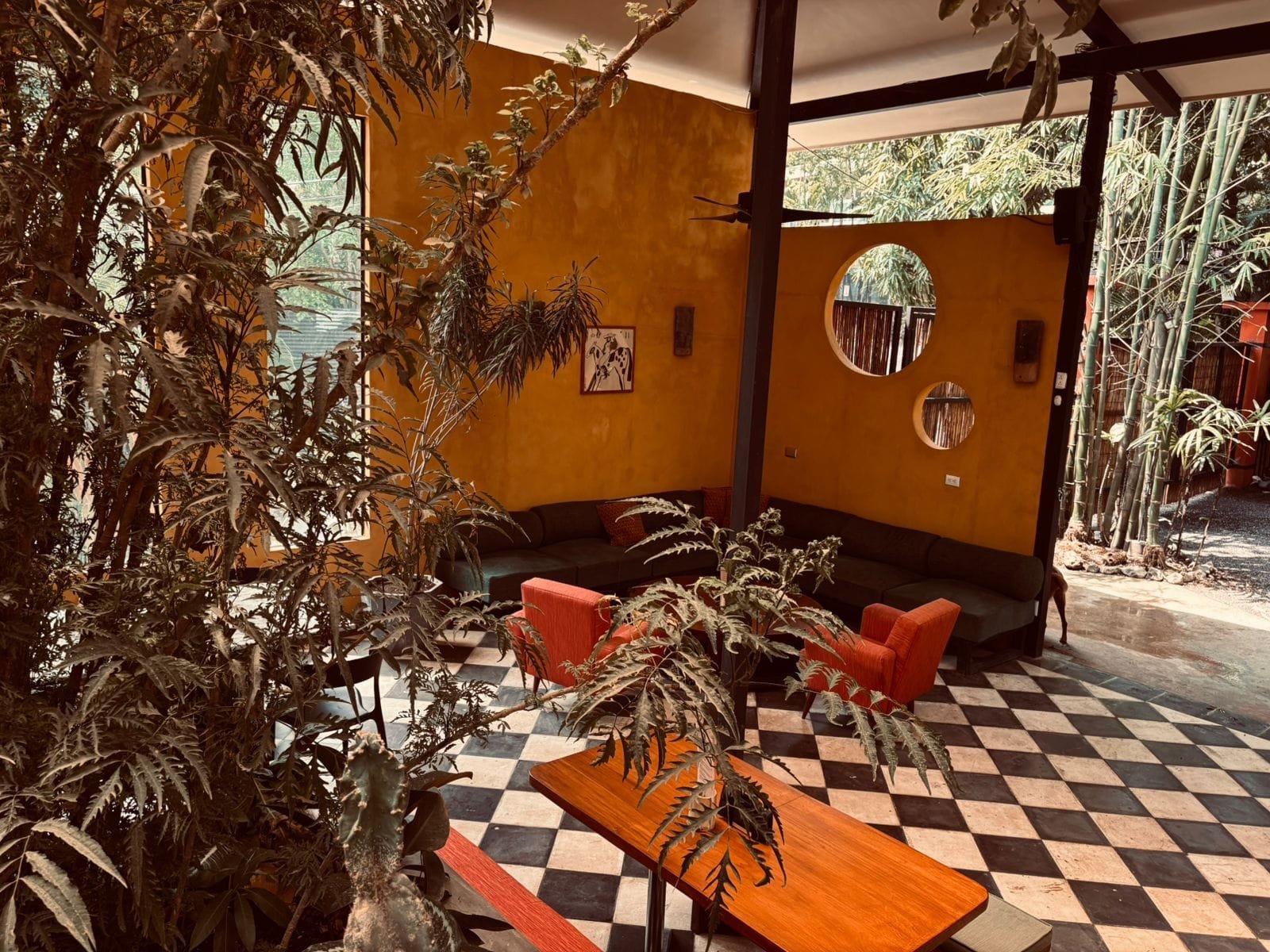 Turnkey Business with Expansion Potential in Santa Teresa