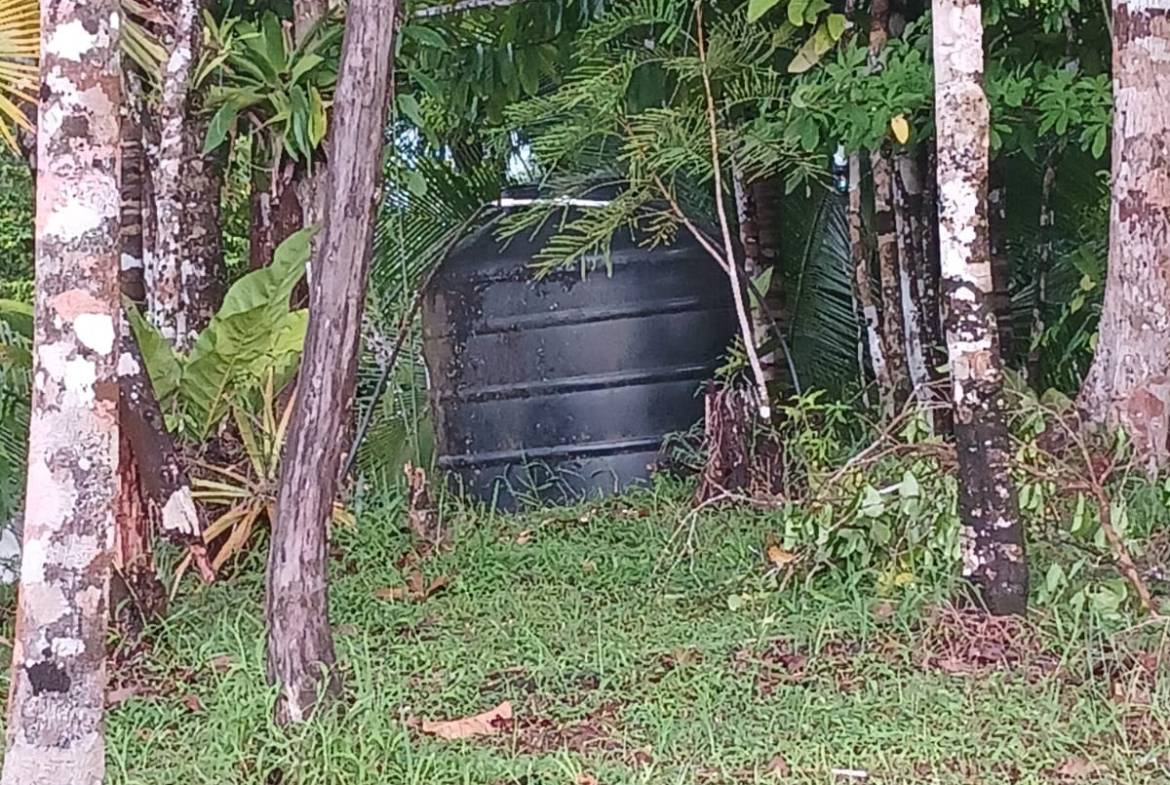 Off-Grid Jungle Paradise with Ocean Views in Puerto Jimenez