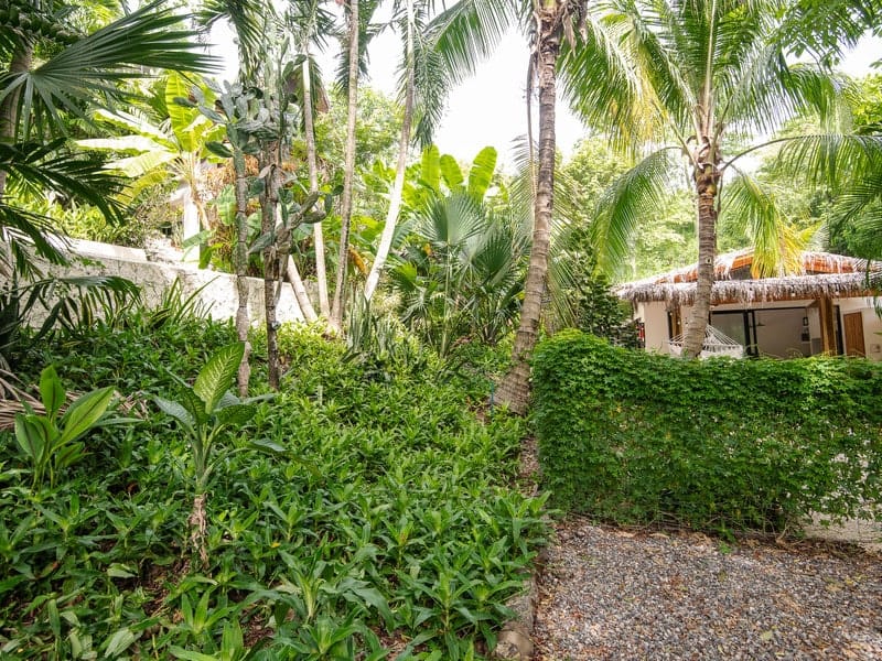 Income producing property in Malpais