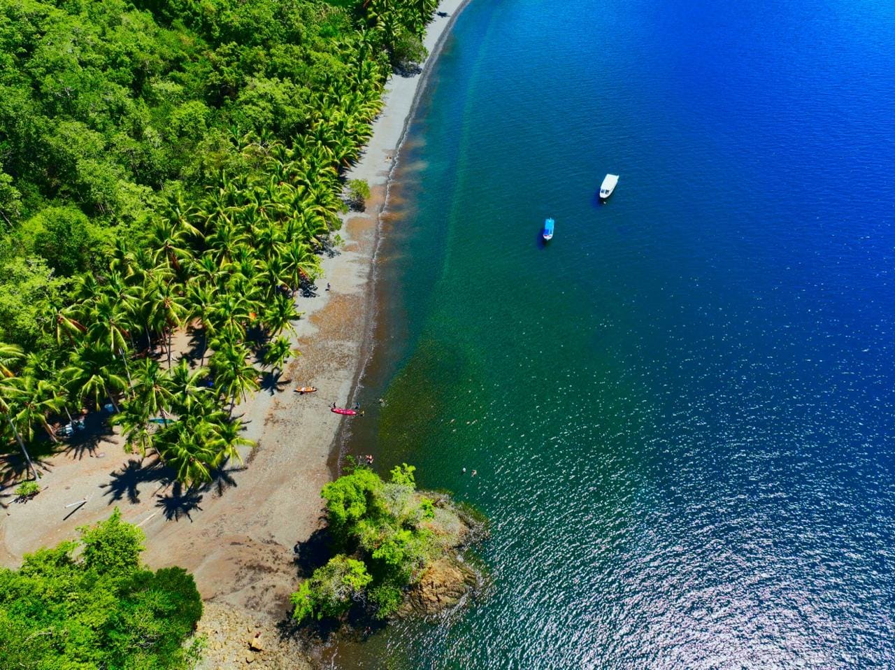 Coastal Rainforest Estate in Golfito