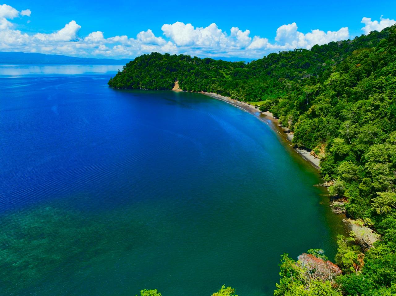 Coastal Rainforest Estate in Golfito