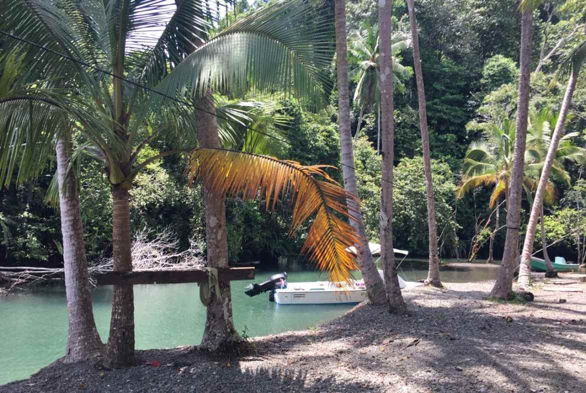 Coastal Rainforest Estate in Golfito