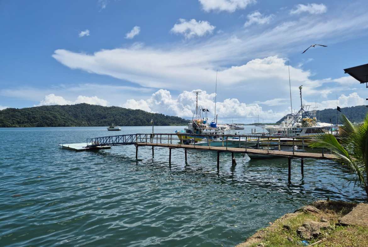 Beachfront Lot for Sale in Central Golfito