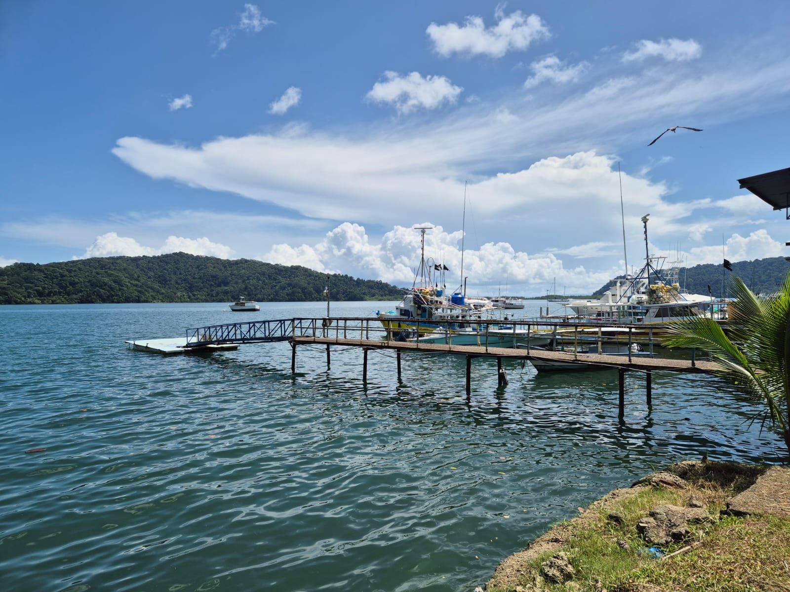 Beachfront Lot for Sale in Central Golfito