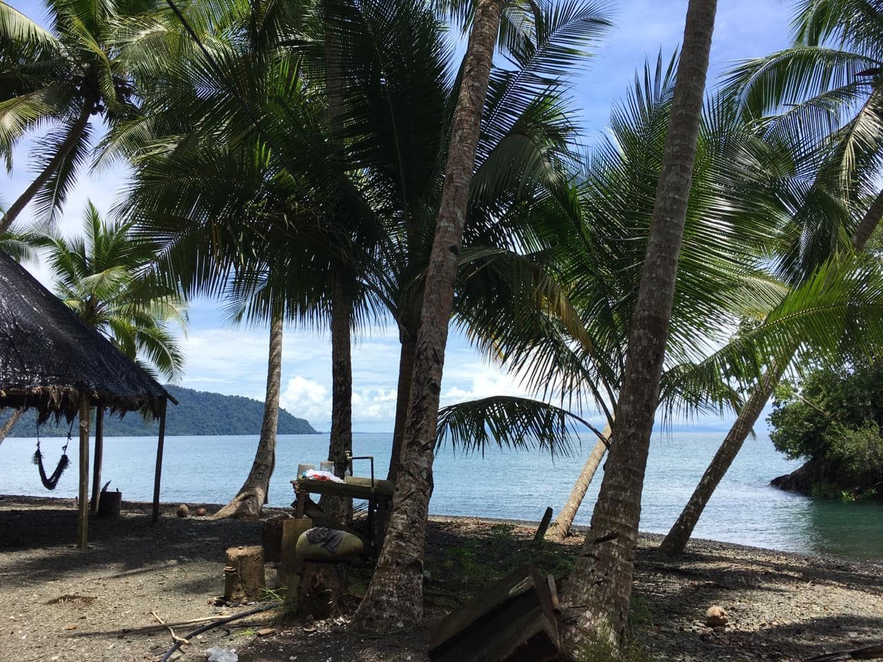 Coastal Rainforest Estate in Golfito