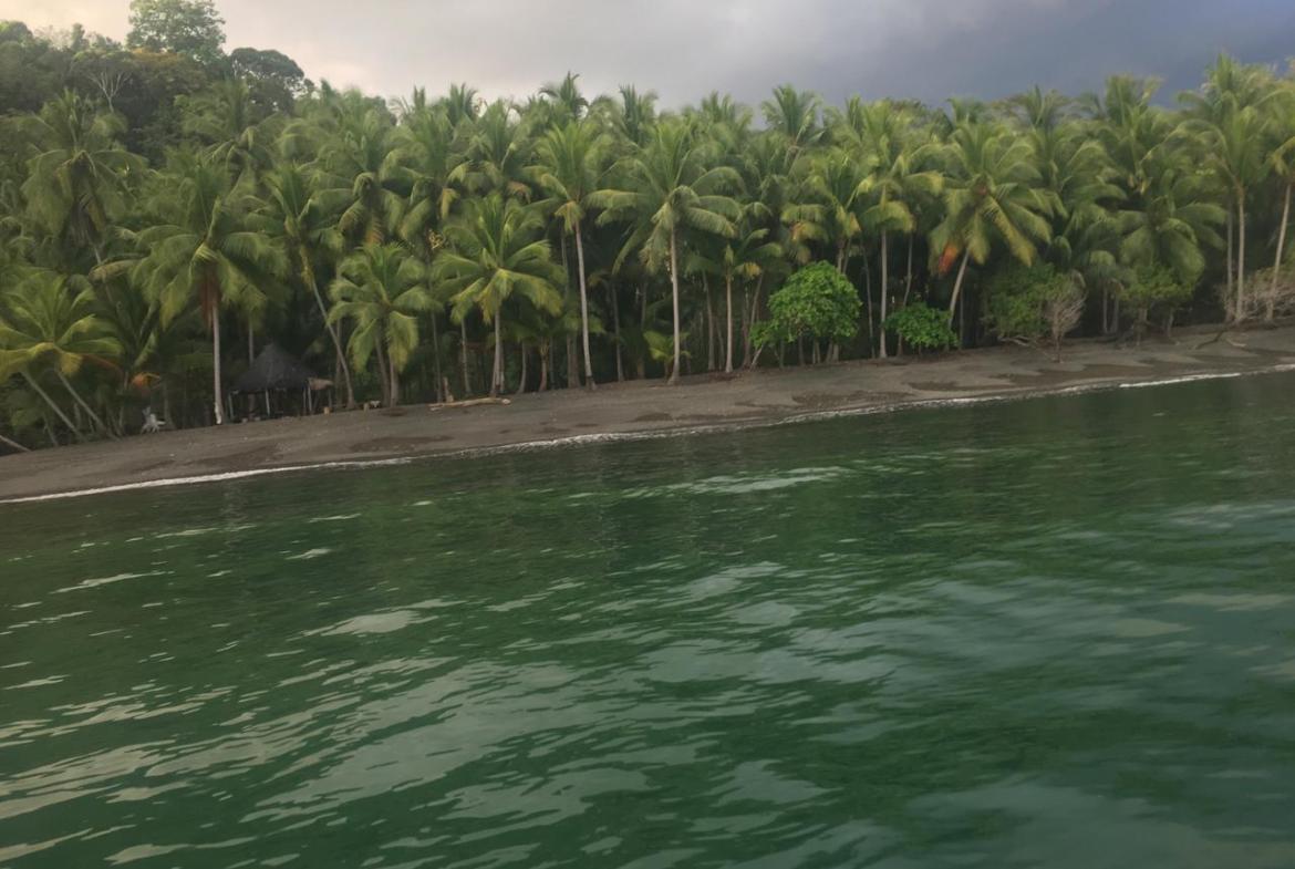 Coastal Rainforest Estate in Golfito