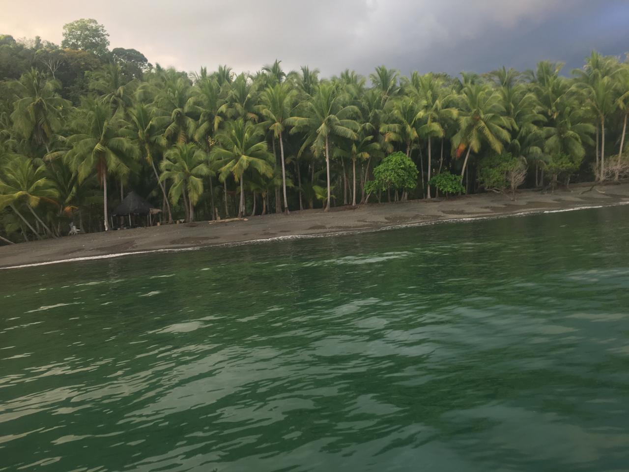 Coastal Rainforest Estate in Golfito