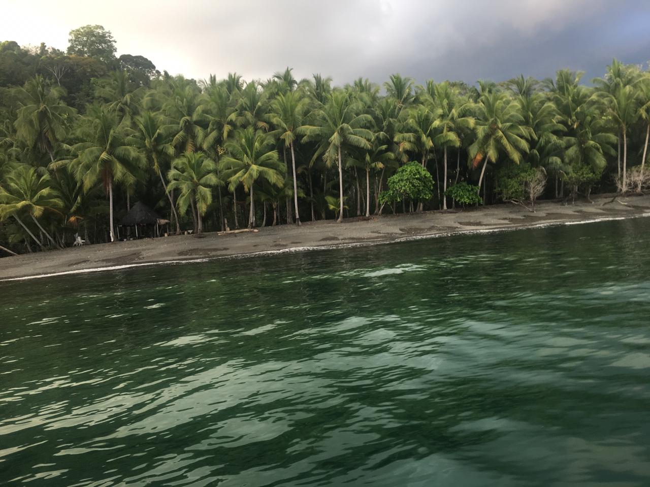 Coastal Rainforest Estate in Golfito