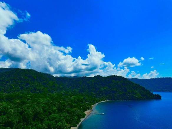 Coastal Rainforest Estate in Golfito