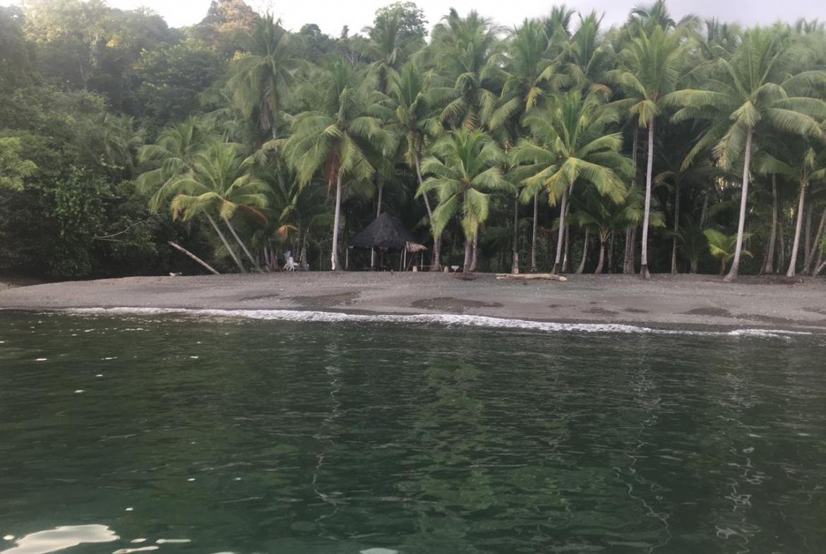 Coastal Rainforest Estate in Golfito