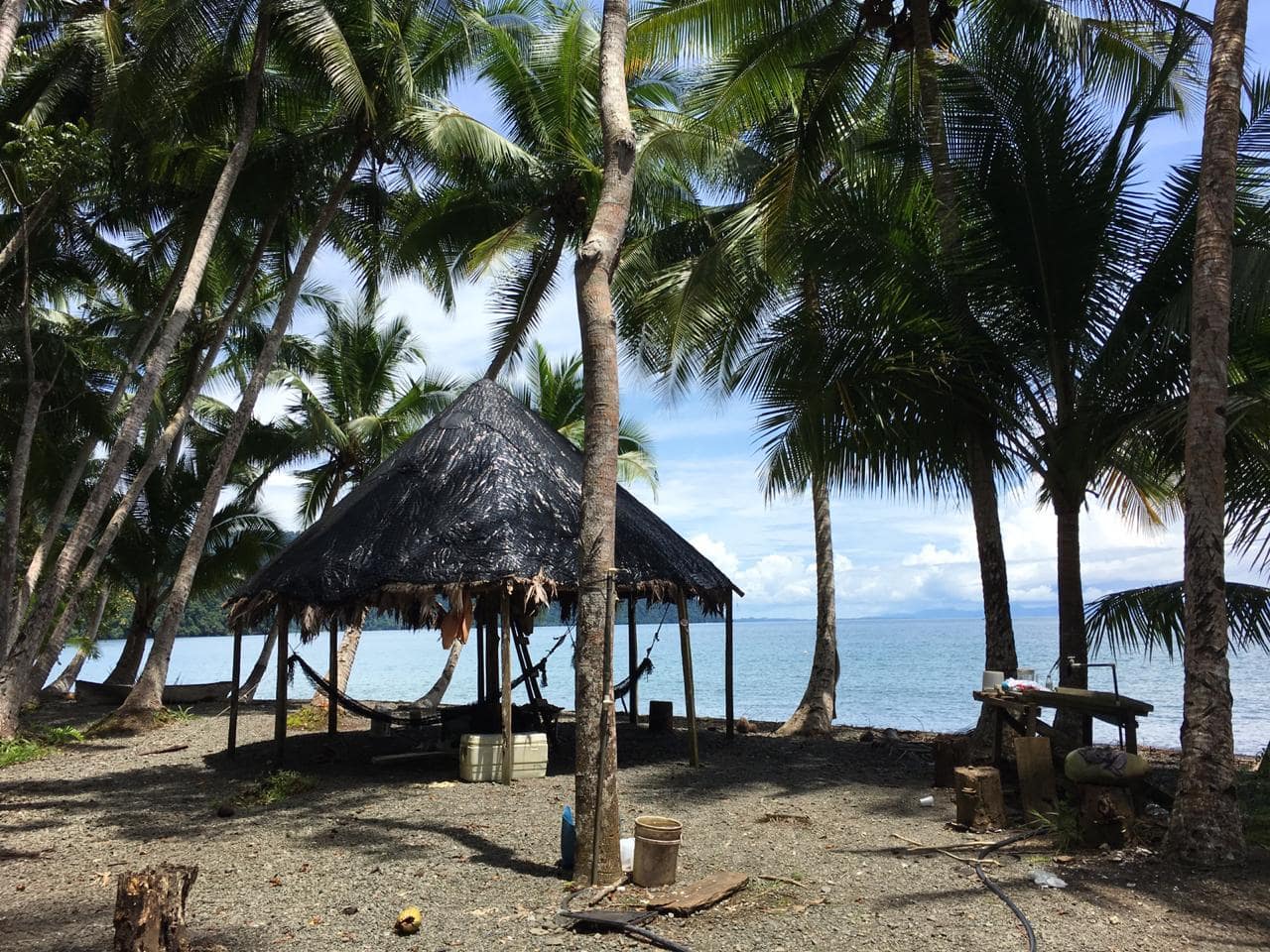 Coastal Rainforest Estate in Golfito