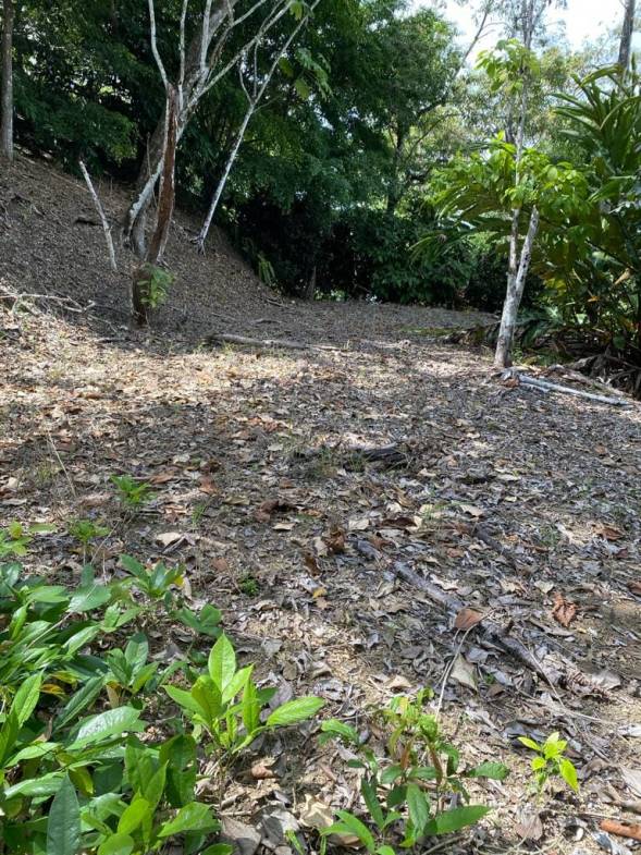 Scenic Surf Haven in Pavones