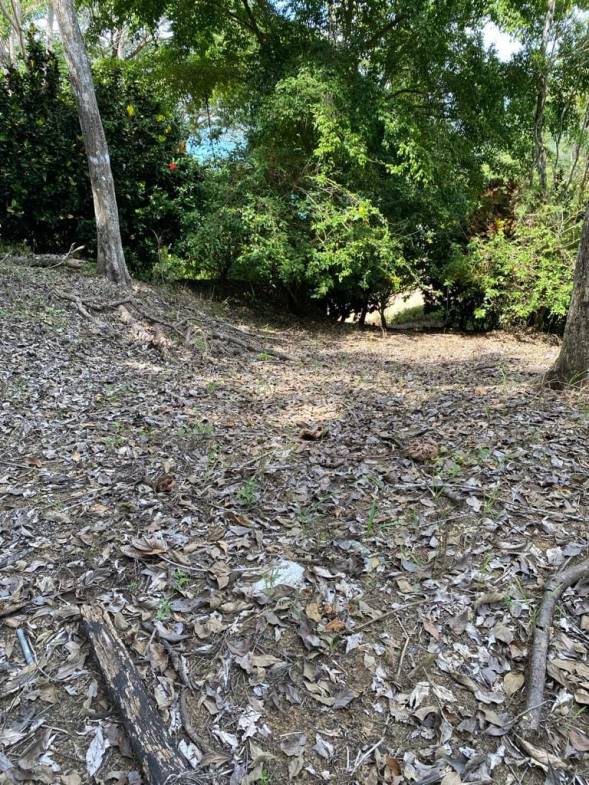 Scenic Surf Haven in Pavones